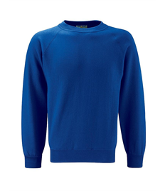 Alfred Street Embroidered Adult Royal Blue Crew Neck Sweatshirt