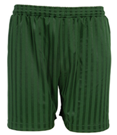 Plain Bottle Green Shadow Stripe Shorts 